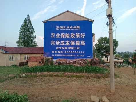 闽侯墙体广告为何受追捧？